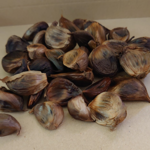 新規プロジェクト (5)