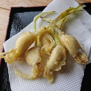 新規プロジェクト (6)